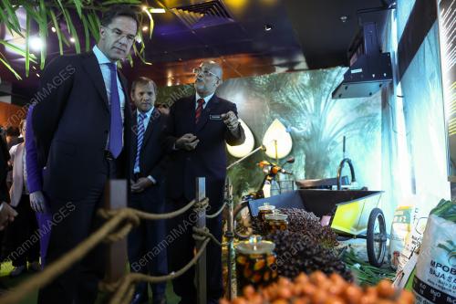 MARK RUTTE