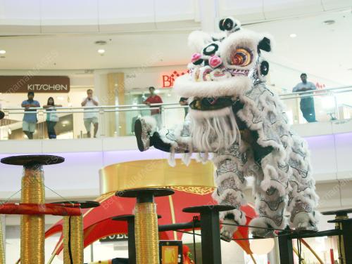 KL25_02022011_LION_DANCE