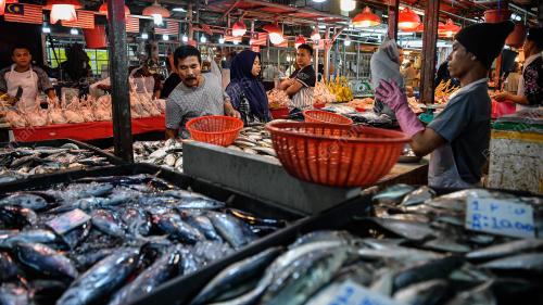 TINJAUAN BARANG DIKECUALIKAN SST