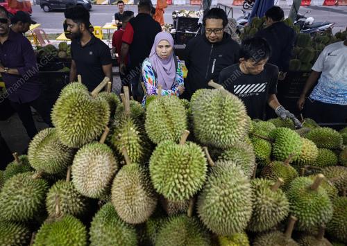 RIZKY DURIAN