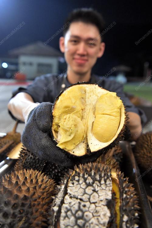 KL25_04082018_DURIAN_BN201807264198