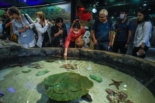 APEC:OCEAN AND FISHERIES WORKING GROUP FIELD TRIP