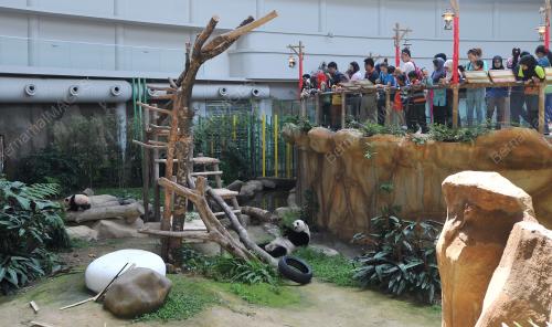 KL25_08022016_ZOO