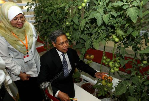 MUSTAPA MOHAMED