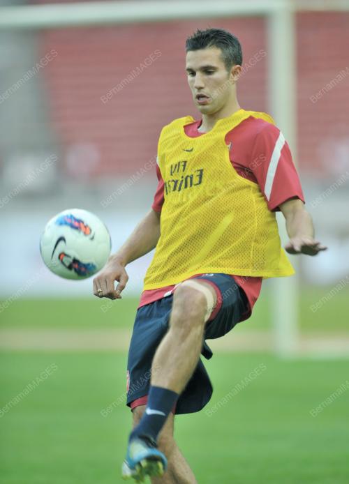 ROBIN VAN PERSIE