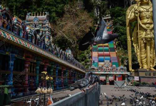 TINJAUAN PERSIAPAN THAIPUSAM