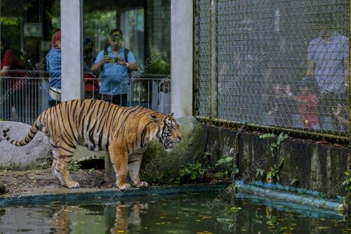 ZOO NEGARA