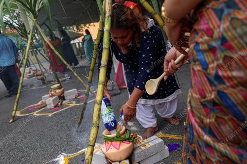 SAMBUTAN PESTA PONGAL ANJURAN MIC
