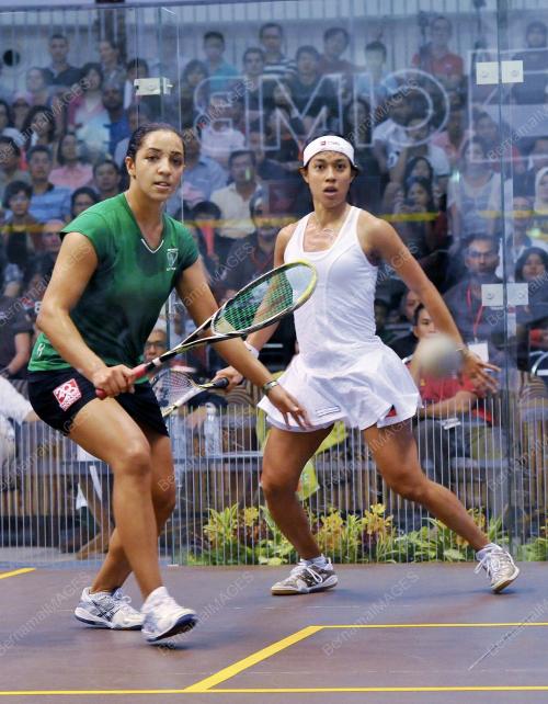 KL25_15092012_SQUASH