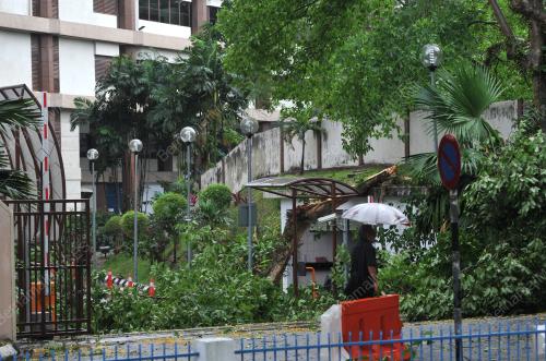 KL25_16022015_RIBUT