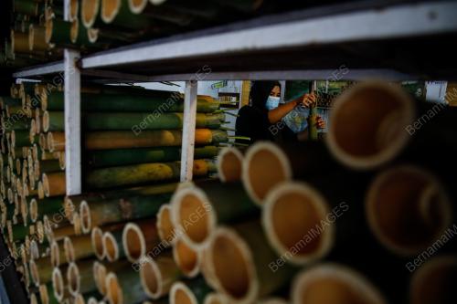 LEMANG DAUN LEREK