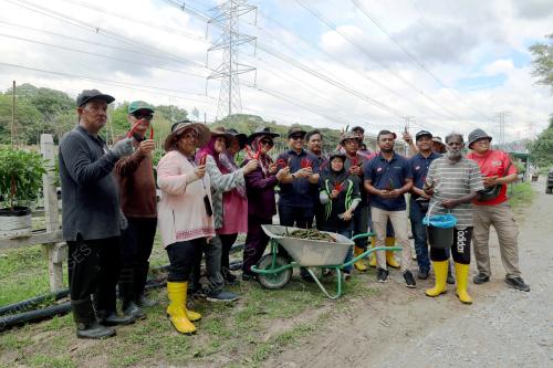 PROJEK TANAMAN CILI FERTIGASI