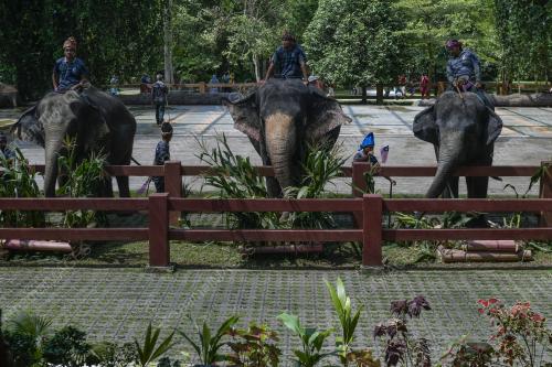 HARI GAJAH SEDUNIA