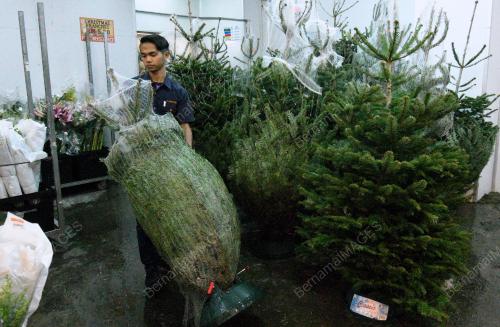 KL25_20122017_KRISMAS