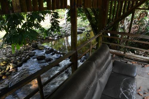 TUNJAUAN COVID-19