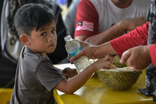 TINJAUAN MUSIM DURIAN