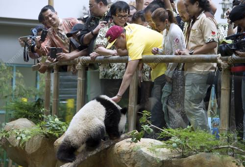 KL25_23082016_ZOO