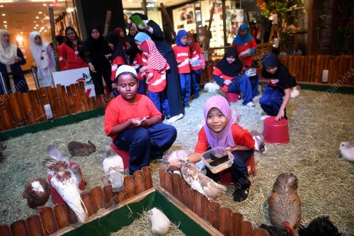 KL25_23112018_SUNWAY_BN201811224401