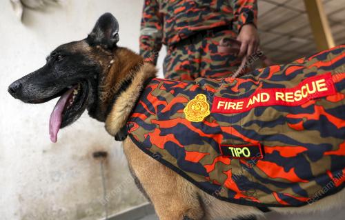 UNIT K9 JABATAN BOMBA DAN PENYELAMAT MALAYSIA