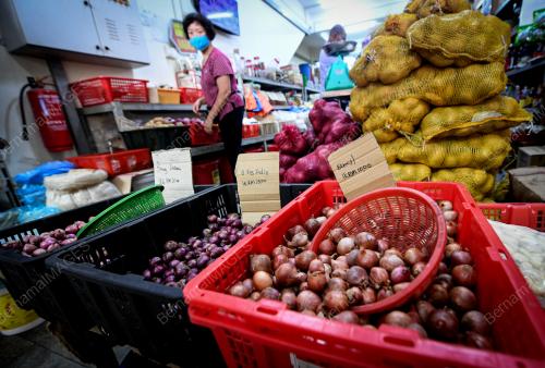 TINJAUAN HARGA BAWANG