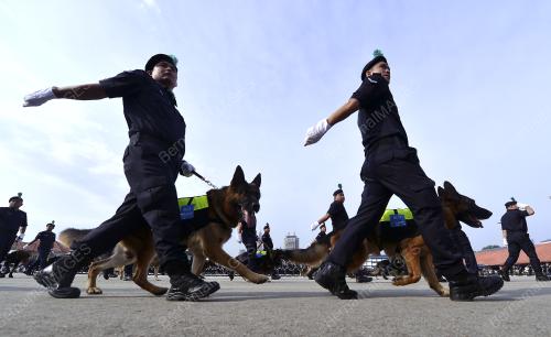 KL25_25032015_POLIS