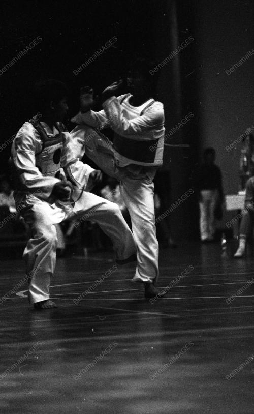 KL25_27032019_SUKAN_JUDO