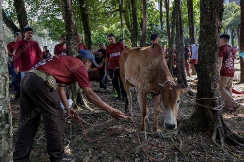 PROGRAM KORBAN PERDANA PERPADUAN PARLIMEN LEMBAH PANTAI