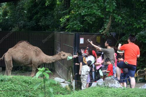 KL25_27062017_ZOO_BN201706267942