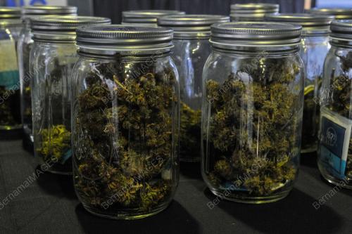 TANGKAPAN & RAMPASAN DADAH DISYAKI GANJA