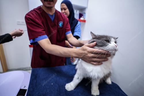 KL25_30042026_FLUFFY