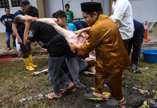 KL26220818_KORBAN_22082018