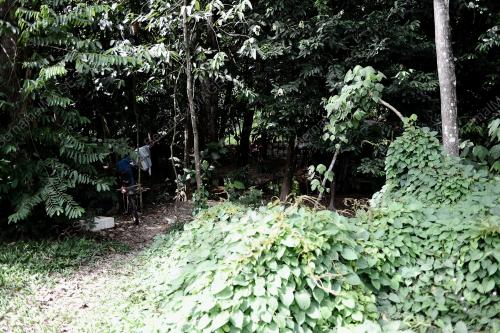 KL26_01012015_HUTAN