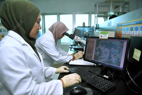 KL26_01042019_IWK_BN201903244318