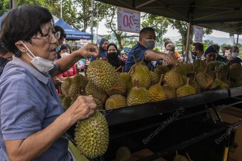PROGRAM JUALAN TERUS DARI LADANG