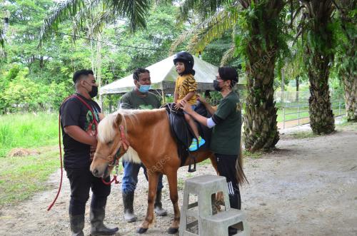 PEMBUKAAN FASA 3 TAMAN HAIWAN
