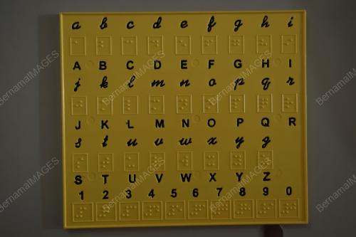 SAMBUTAN HARI BRAILLE SEDUNIA 2023