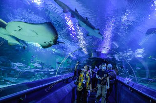 APEC:OCEAN AND FISHERIES WORKING GROUP FIELD TRIP