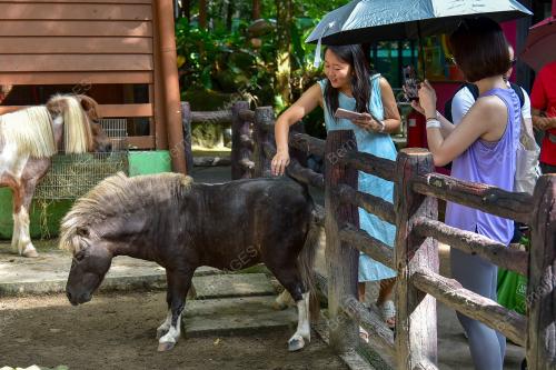ZOO NEGARA