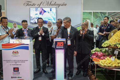 DATUK SERI MOHAMAD SABU