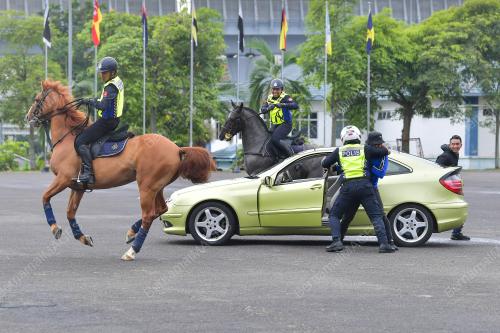 KURSUS ASAS MENUNGGANG KUDA