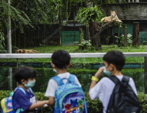 ZOO NEGARA
