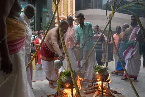 KL26_15012026_PONGGAL