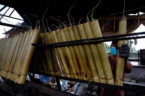 LEMANG DAUN LEREK