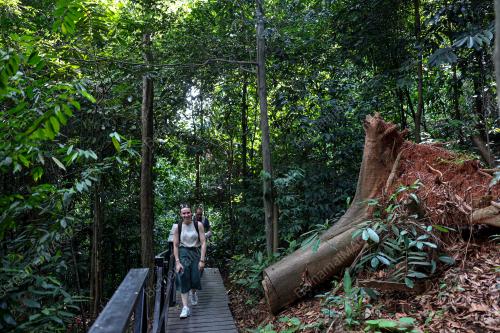 HUTAN SIMPAN EKO RIMBA KUALA LUMPUR