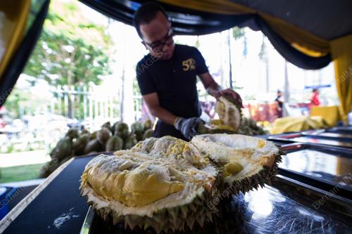 KL26_21092017_DURIAN