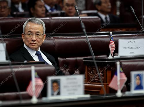 AHLI_SENATOR