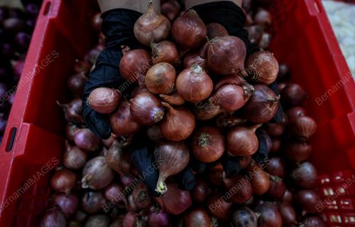 TINJAUAN HARGA BAWANG