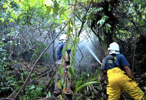 KL26_26022016_TERBAKAR