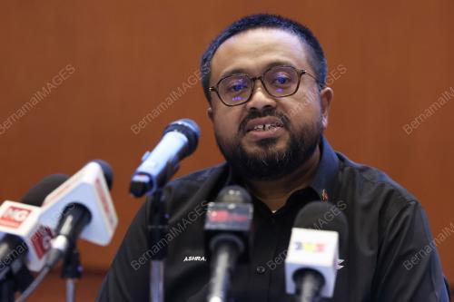 MOHAMMAD ASHRAF MD RADZI