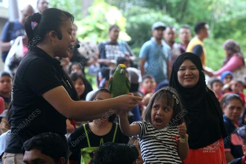 KL26_27062017_ZOO_BN201706267942